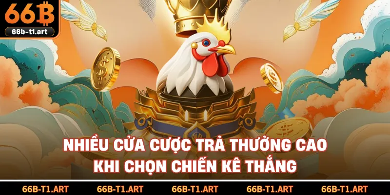Nhiều Cửa Cược Trả Thưởng Cao Khi Chọn Chiến Kê Thắng